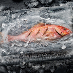 Der Fisch ist gar © Miele