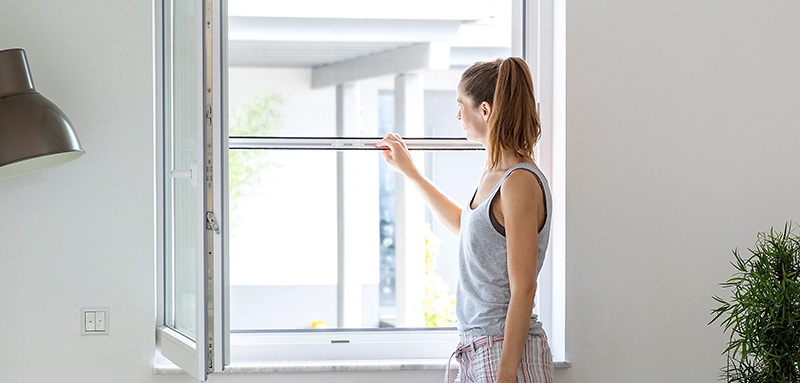 Transparente Insektenschutzlösungen vor den Fenstern sorgen für viel Tageslicht. © VFF/ Neher.